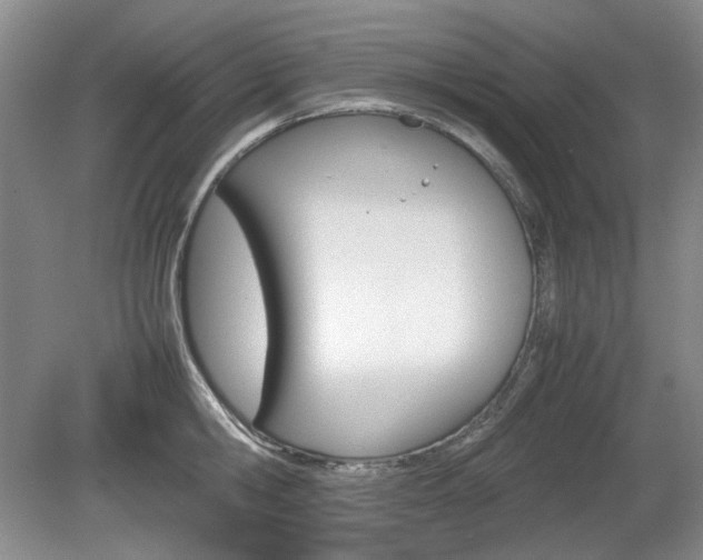 X0000080140806200612081025