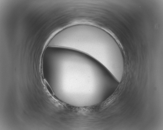 X0000080140815200612081025