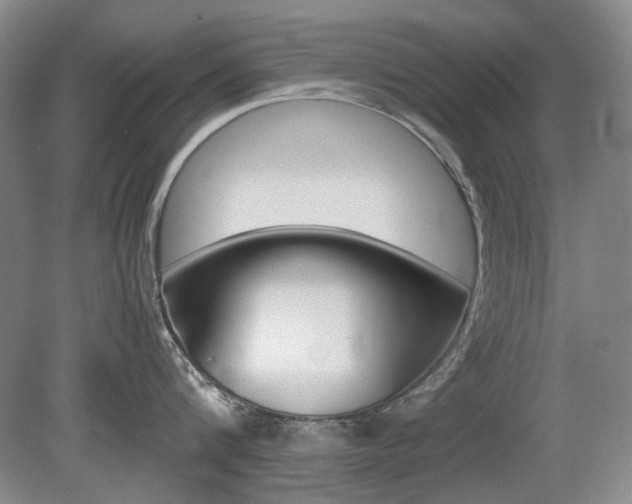 X0000080140816200612081025