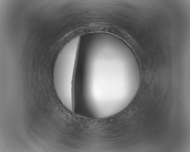 X0000080140821200612081024
