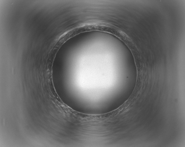 X0000080140822200612081024