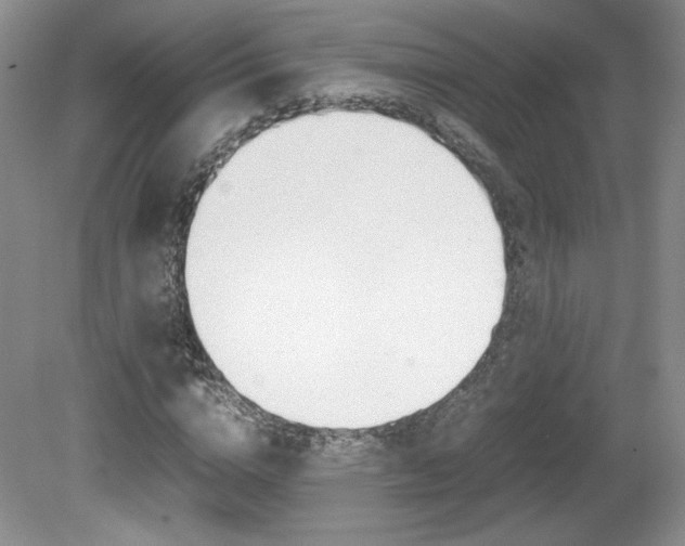 X0000080140824200612081024