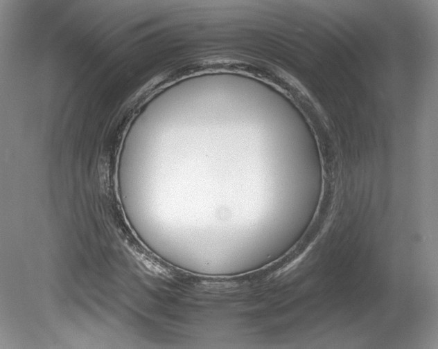 X0000080140825200612081024