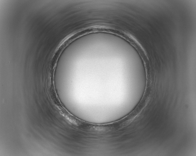 X0000080140829200612081024