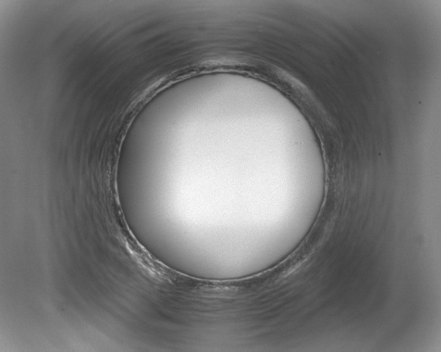 X0000080140833200612081024