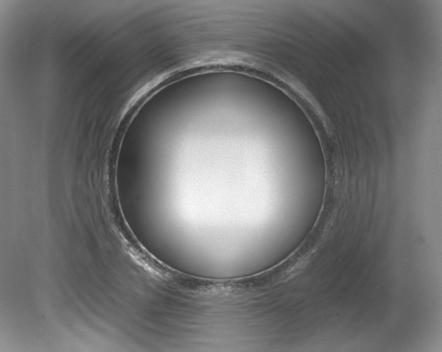 X0000080140834200612081024