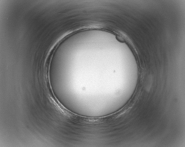 X0000080140835200612081024