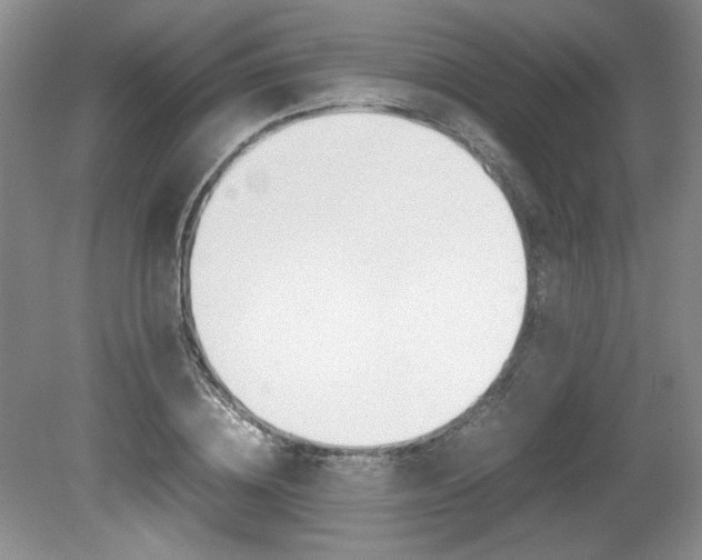 X0000080140836200612081024
