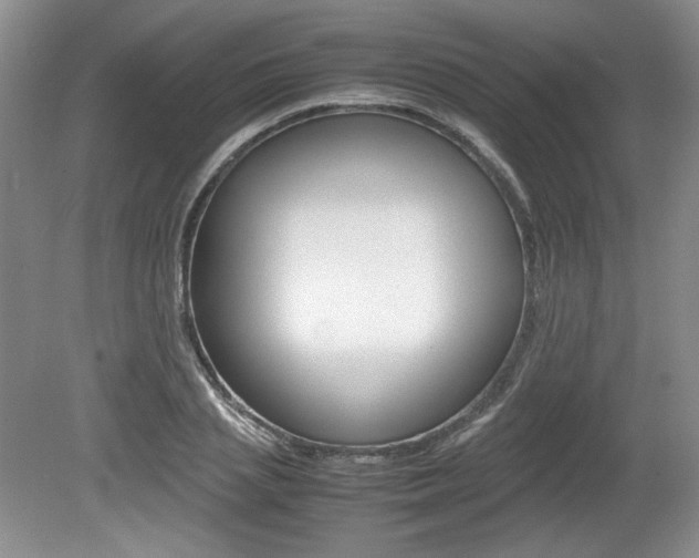 X0000080140837200612081024
