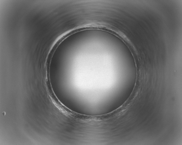 X0000080140838200612081024