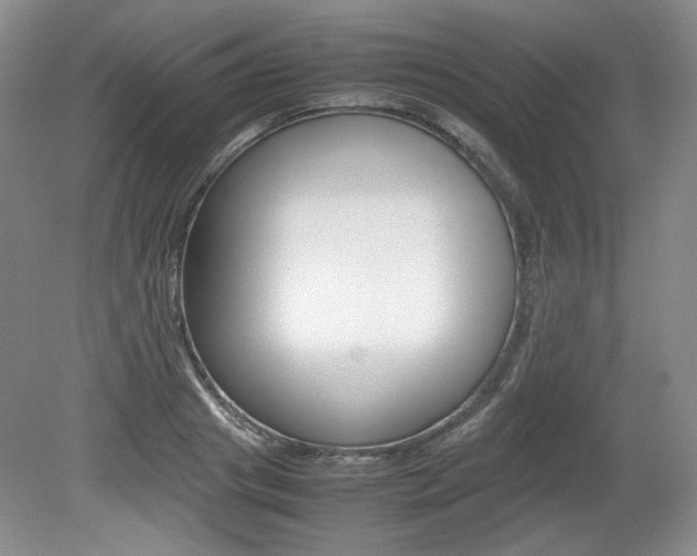 X0000080140841200612081024