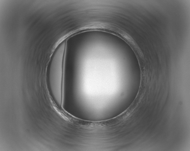 X0000080140842200612081024