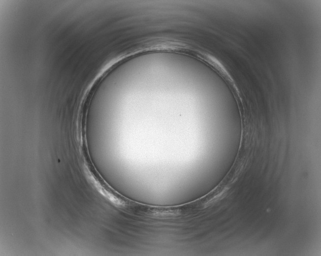 X0000080140843200612081024