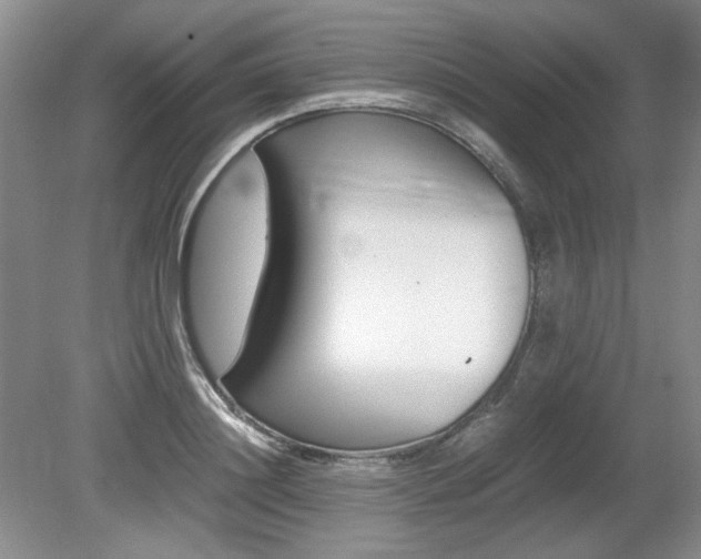 X0000080140844200612081024