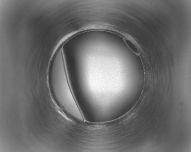 X0000080140846200612081024