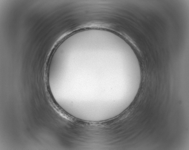 X0000080140848200612081024