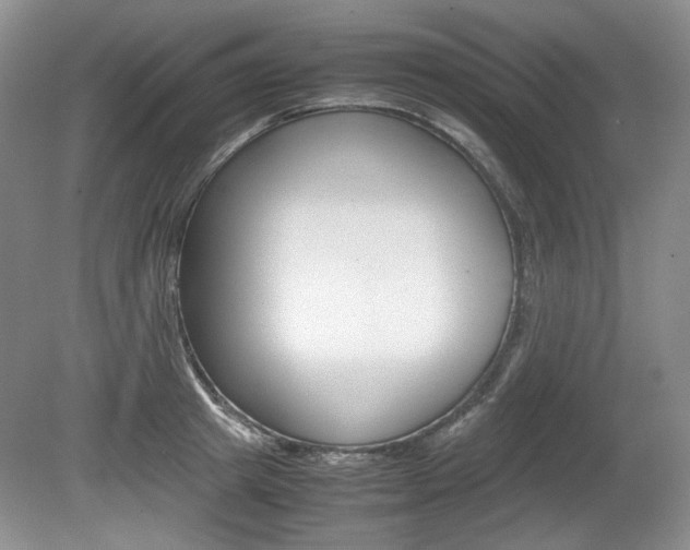 X0000080140849200612081024