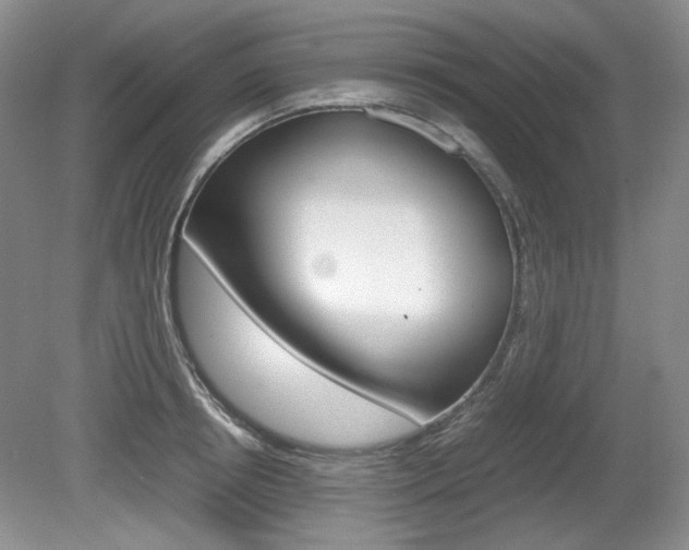 X0000080140850200612081024