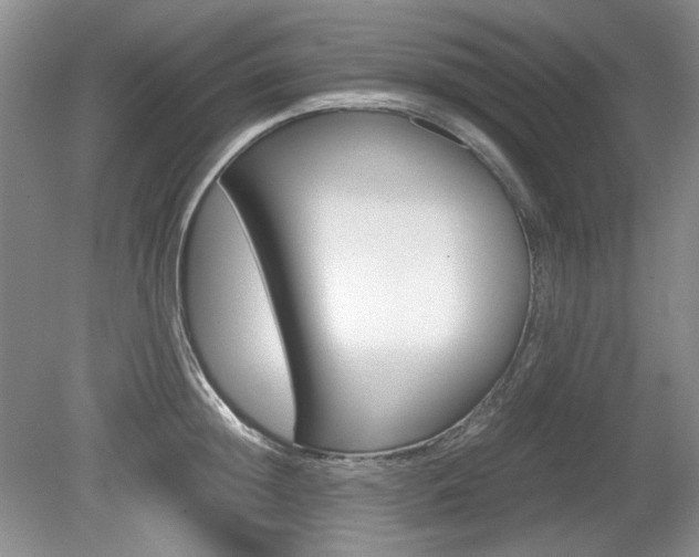 X0000080140852200612081024
