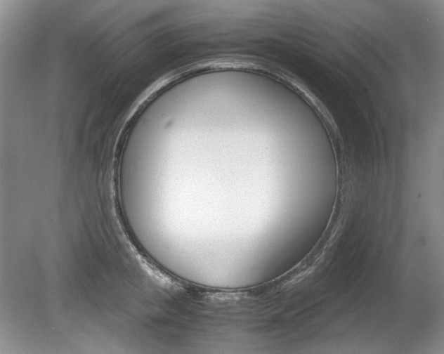 X0000080140853200612081024
