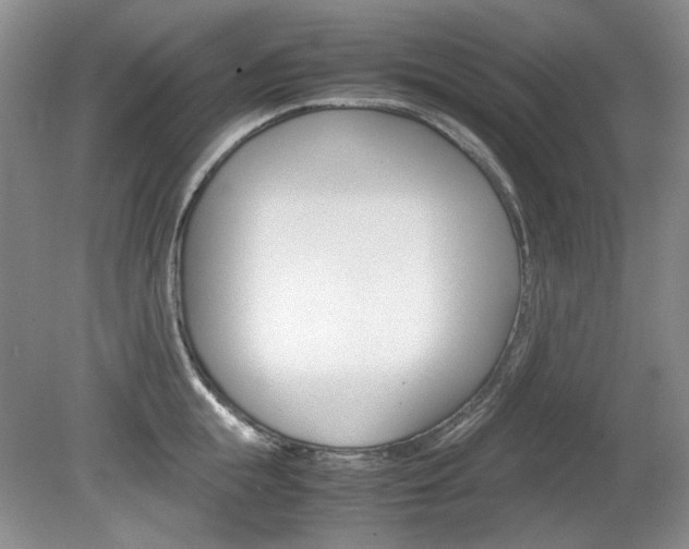 X0000080140855200612081024