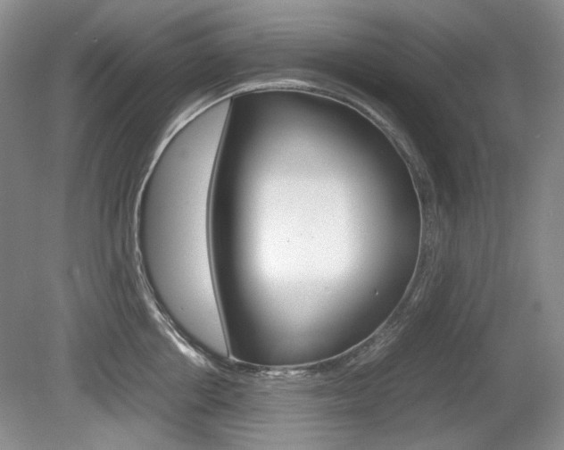 X0000080140858200612081024
