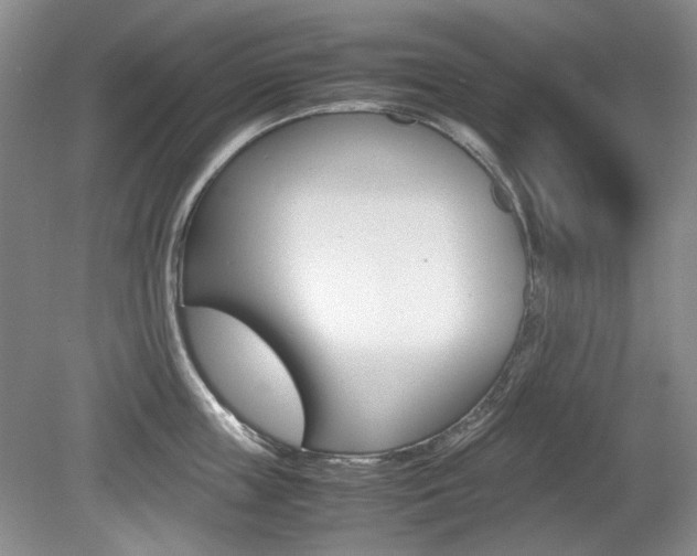 X0000080140859200612081024