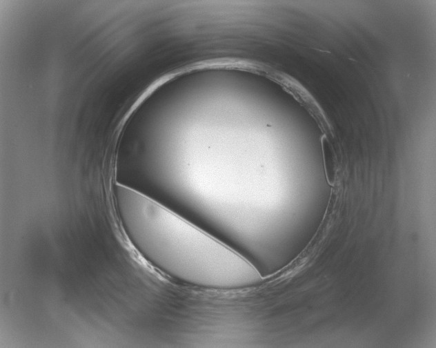 X0000080140860200612081024
