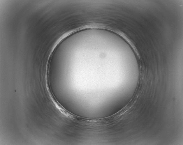 X0000080140861200612081024