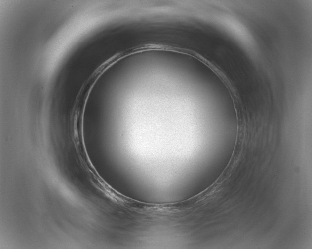 X0000080140862200612081024