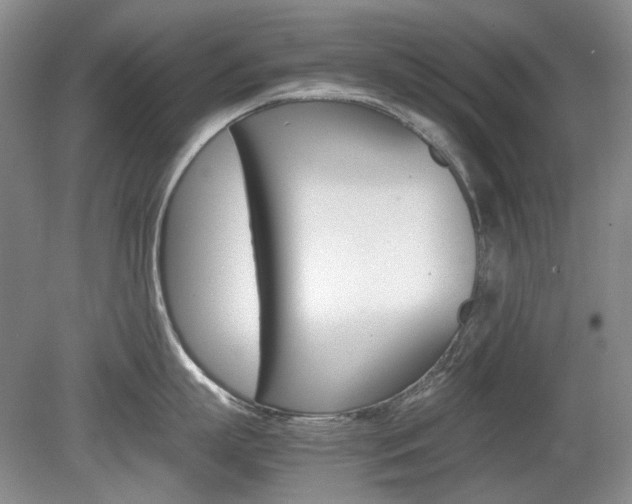 X0000080140863200612081025