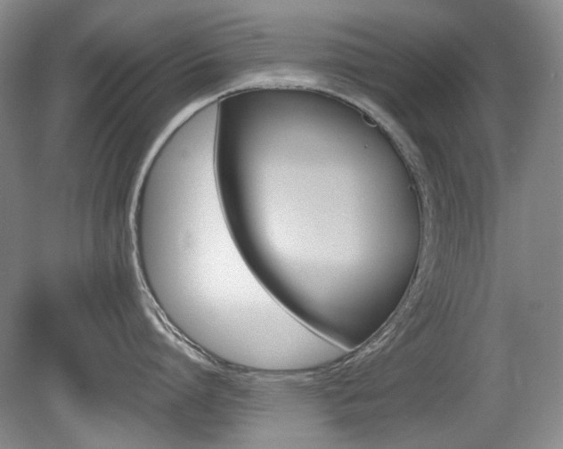 X0000080140864200612081025
