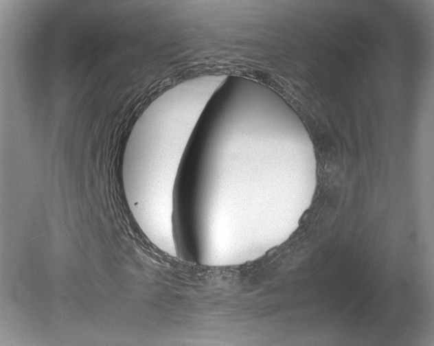X0000080140865200612081024