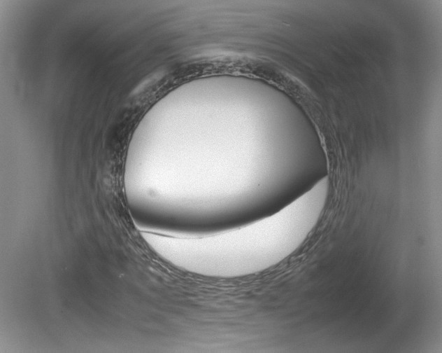 X0000080140869200612081024