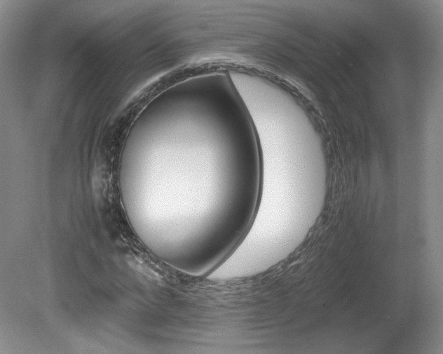 X0000080140872200612081024