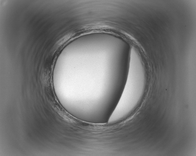 X0000080140873200612081024
