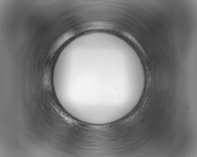X0000080140874200612081024