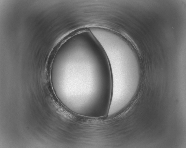 X0000080140876200612081024