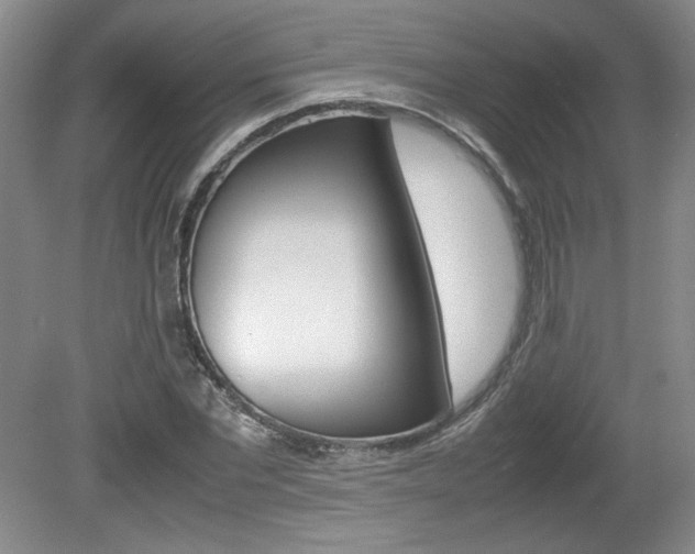 X0000080140877200612081024