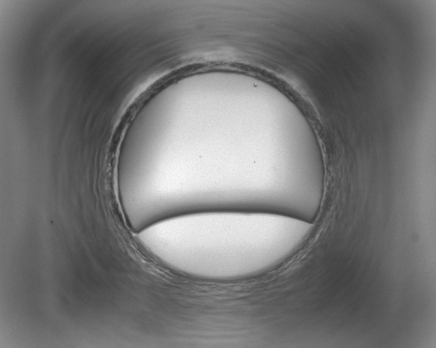 X0000080140879200612081023