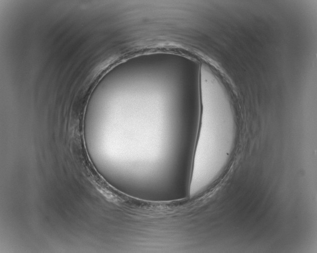X0000080140881200612081023