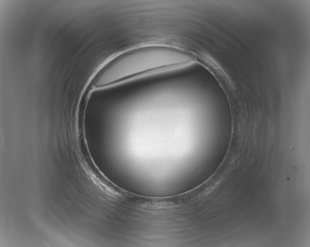 X0000080140884200612081023