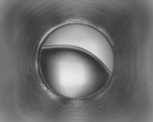 X0000080140888200612081023