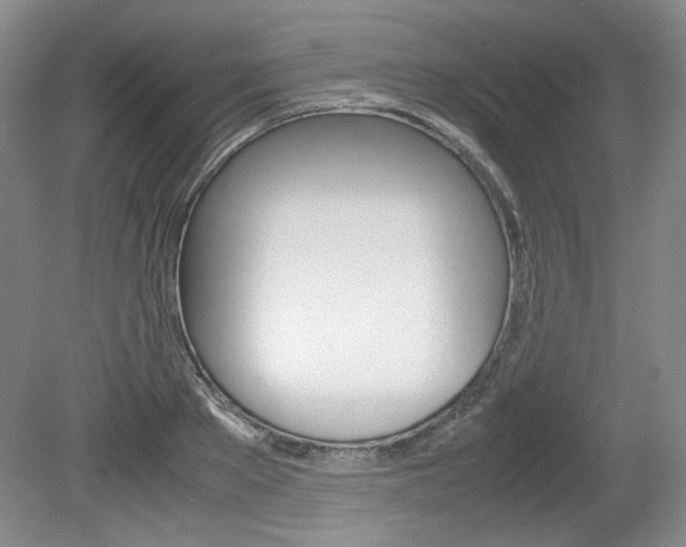 X0000080140889200612081023