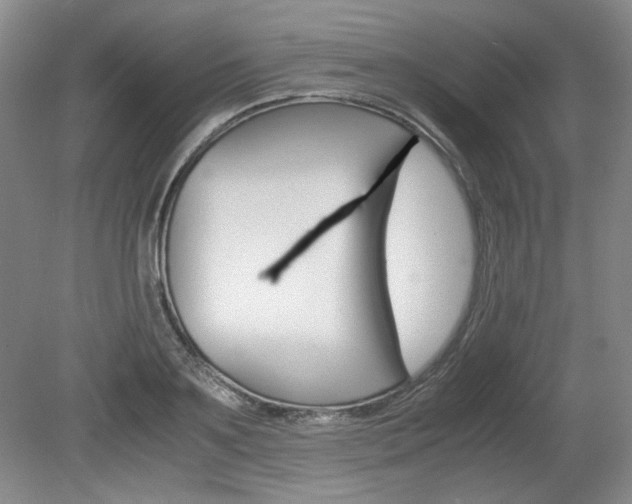 X0000080140891200612081023