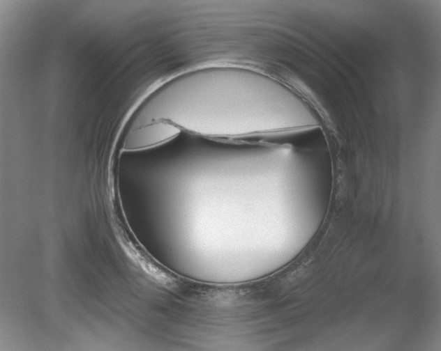 X0000080140892200612081023