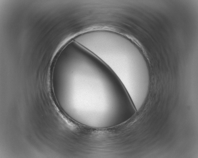 X0000080140894200612081023