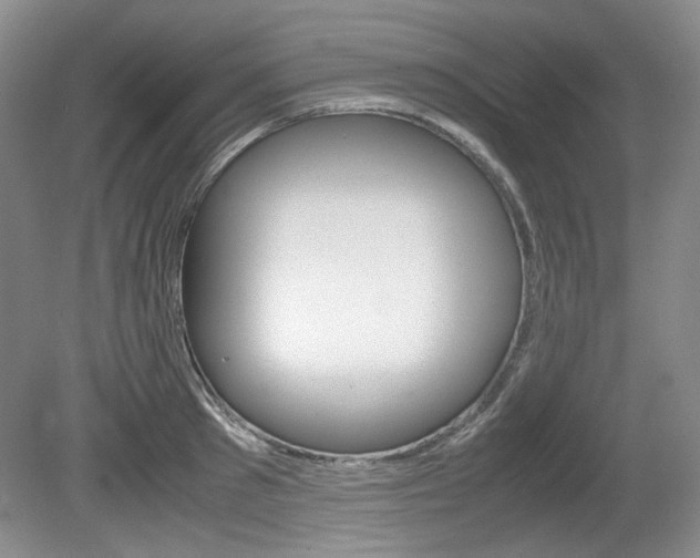 X0000080140897200612081023