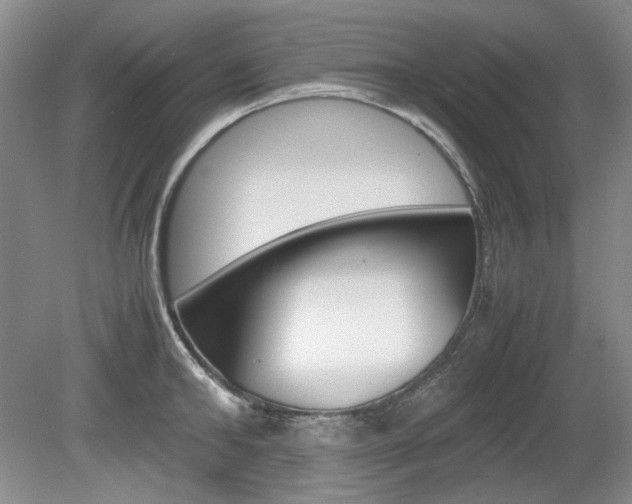 X0000080140902200612081023