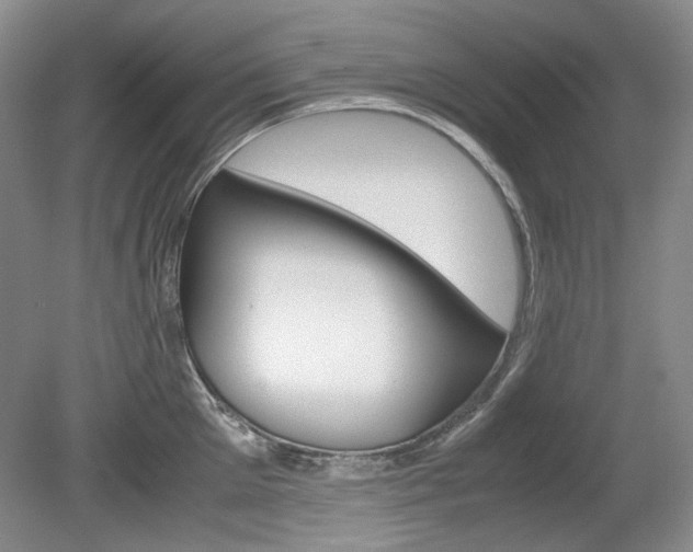 X0000080140905200612081023